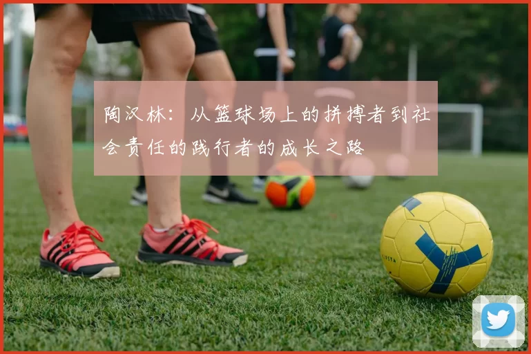 陶汉林：从篮球场上的拼搏者到社会责任的践行者的成长之路