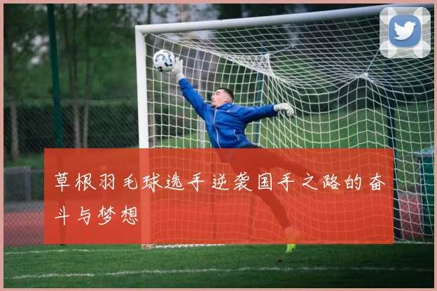 草根羽毛球选手逆袭国手之路的奋斗与梦想